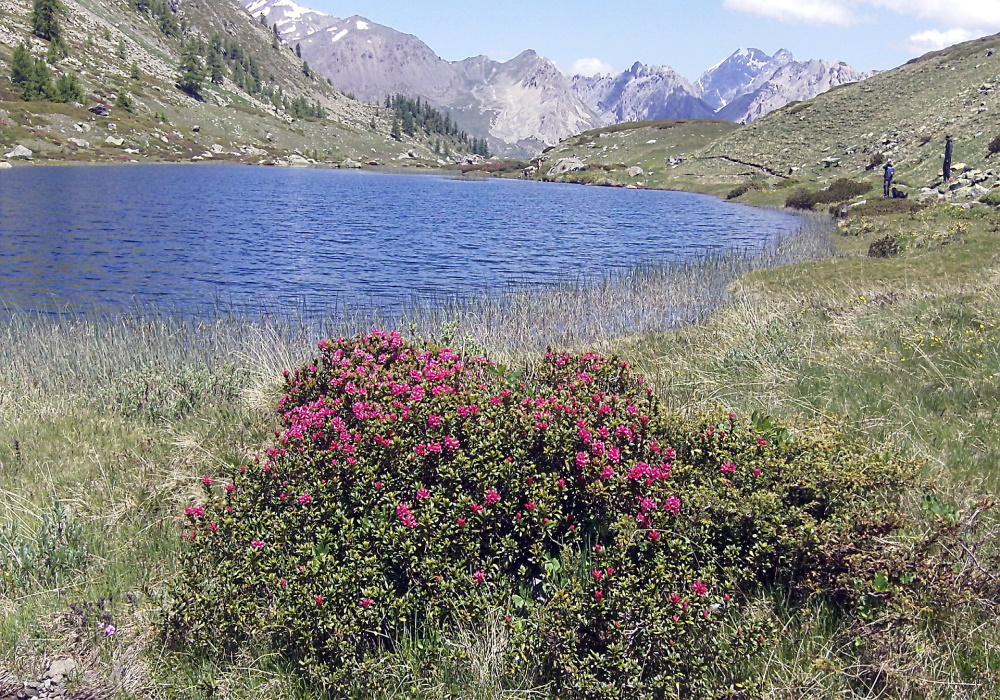 Lac de Cristol.